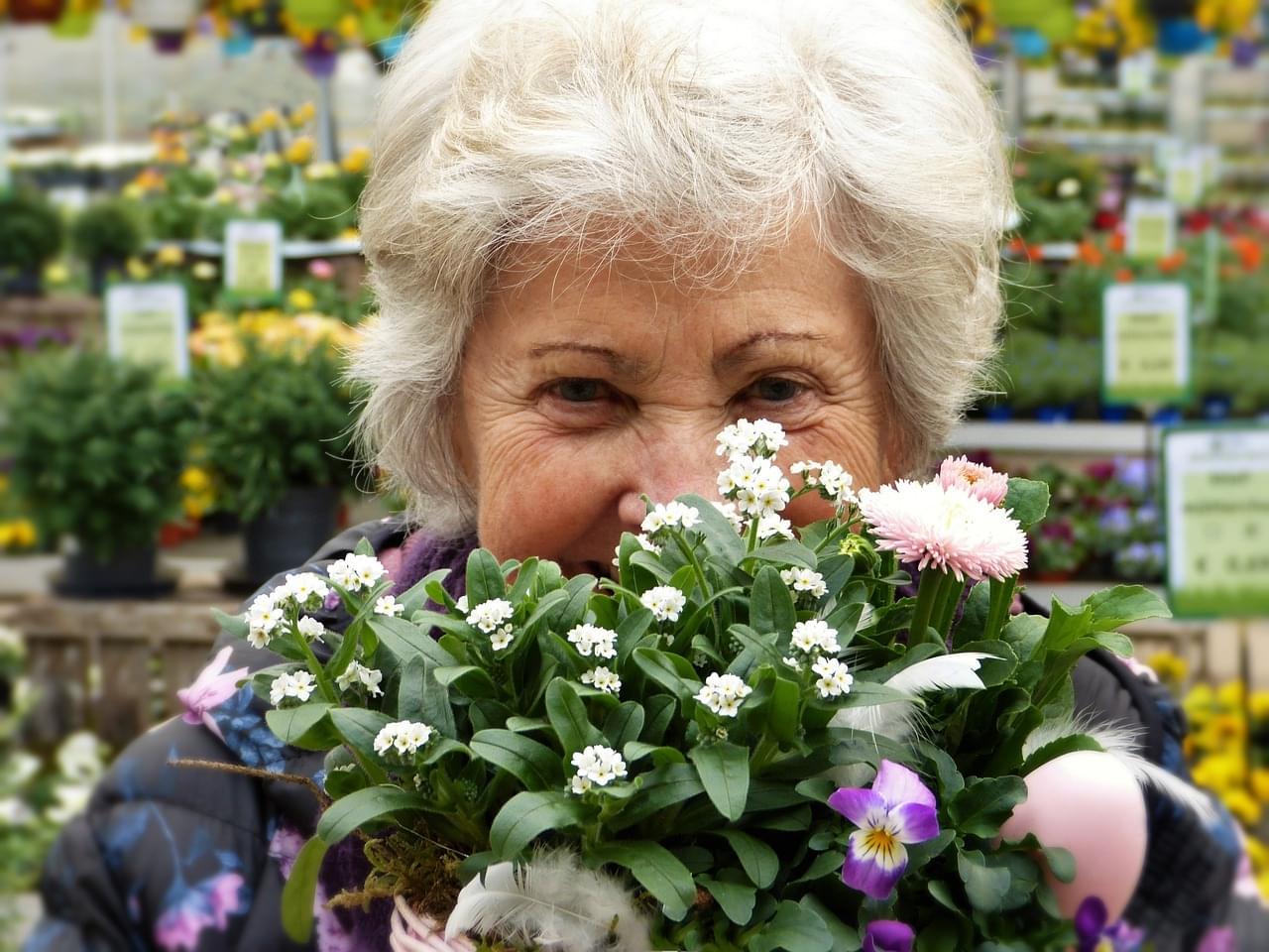 osteoarthritis, pain